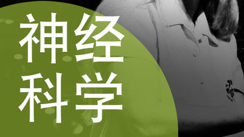 神經科學：理解與使用大腦